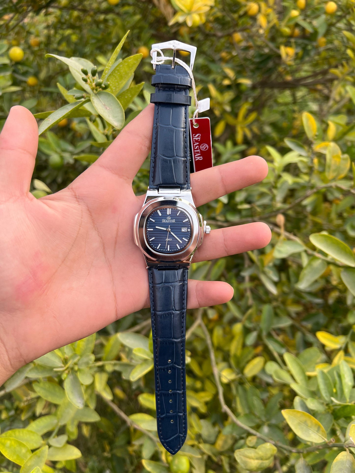 Seastar AMD Blue Dial with Leather Strap