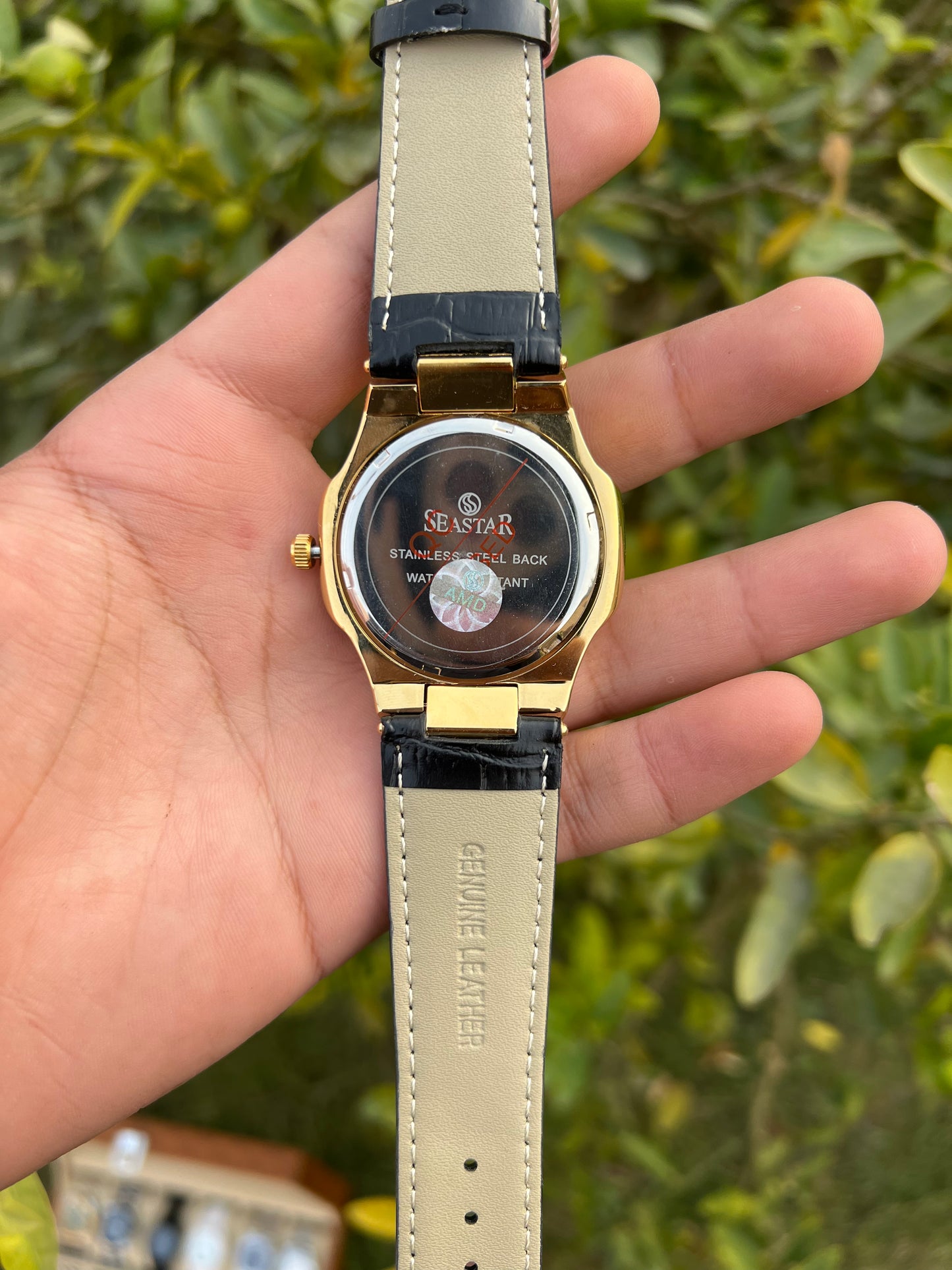 Seastar AMD Black Dial with Leather Strap