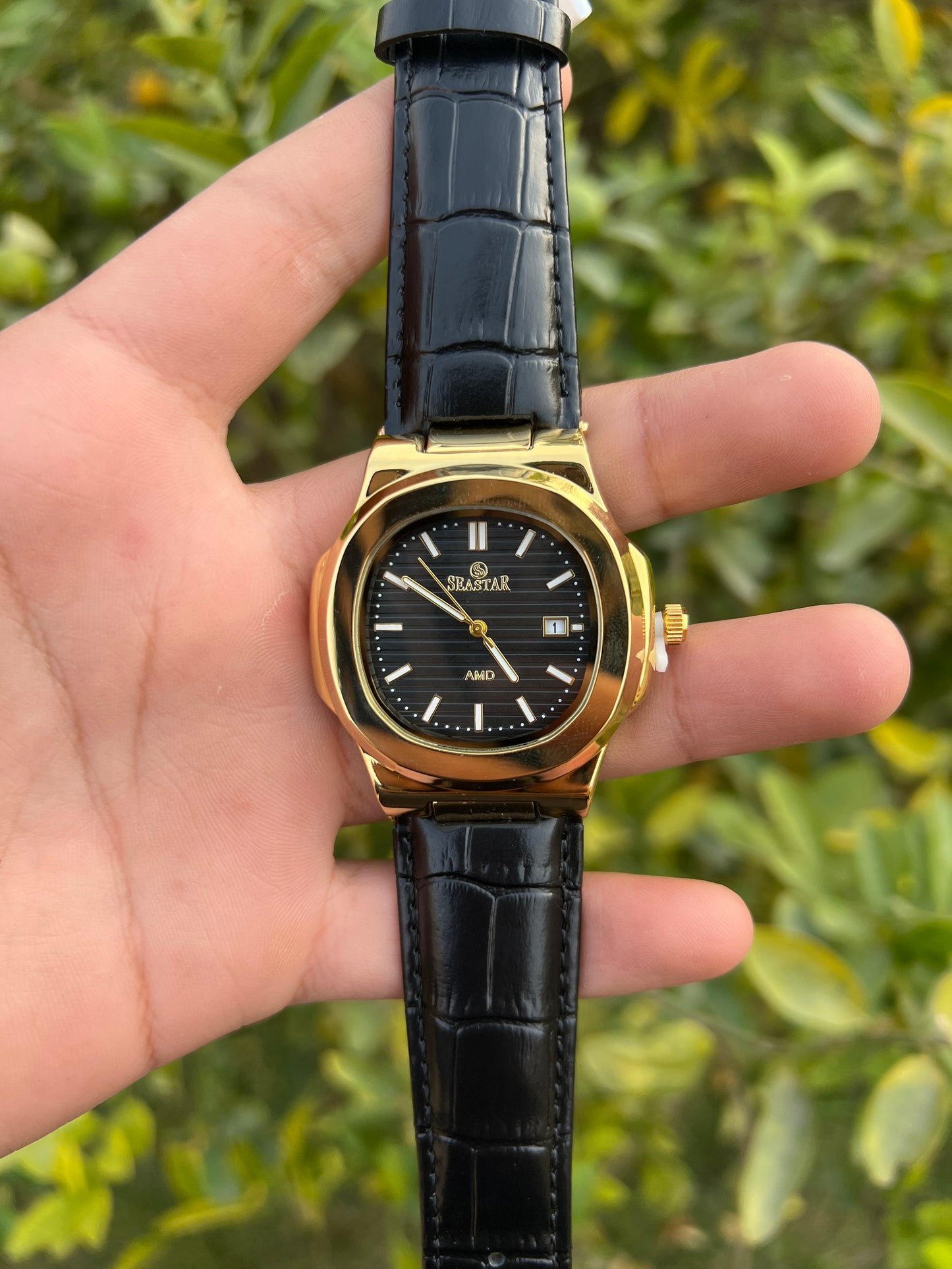 Seastar AMD Black Dial with Leather Strap